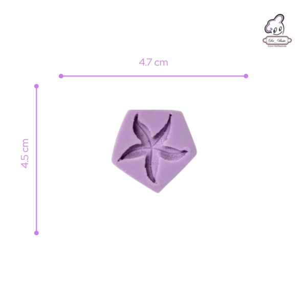 Silikon Kalıp Deniz Yıldızı