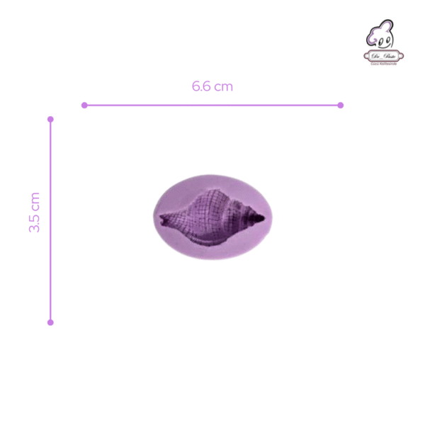 Silikon Kalıp Deniz Kabuğu